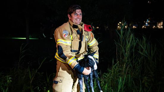 Lammetje ontsnapt van kinderboerderij en wordt uit sloot gered door brandweer