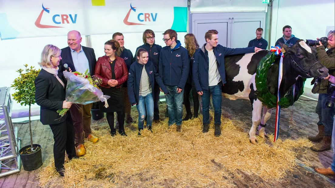 Koe Big Boukje 192 uit Geesteren gehuldigd om 200.000 liter melk