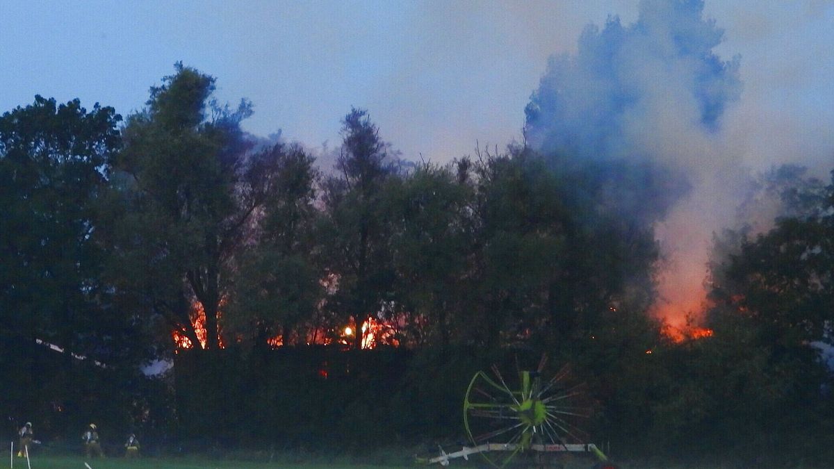 Stal gaat verloren bij brand in Tzummarum