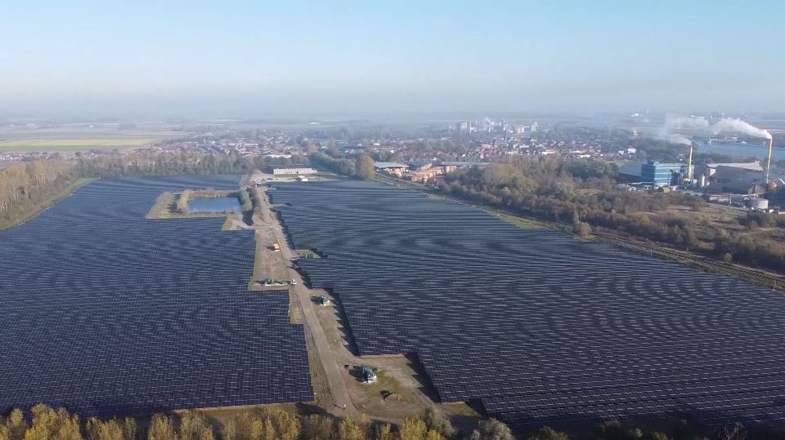 Het zonnepark van Shell in Sas van Gent.