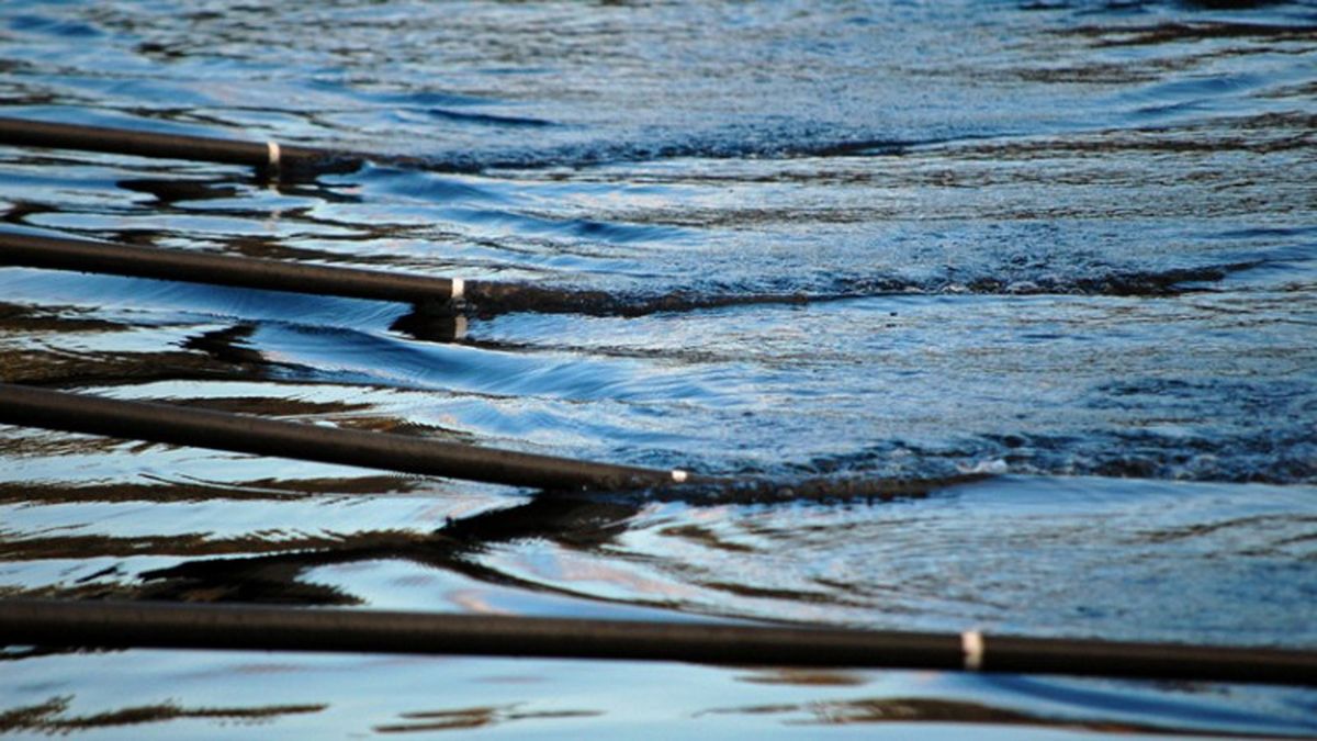 Tweeduizend roeiers in Harkstede voor Martini Regatta