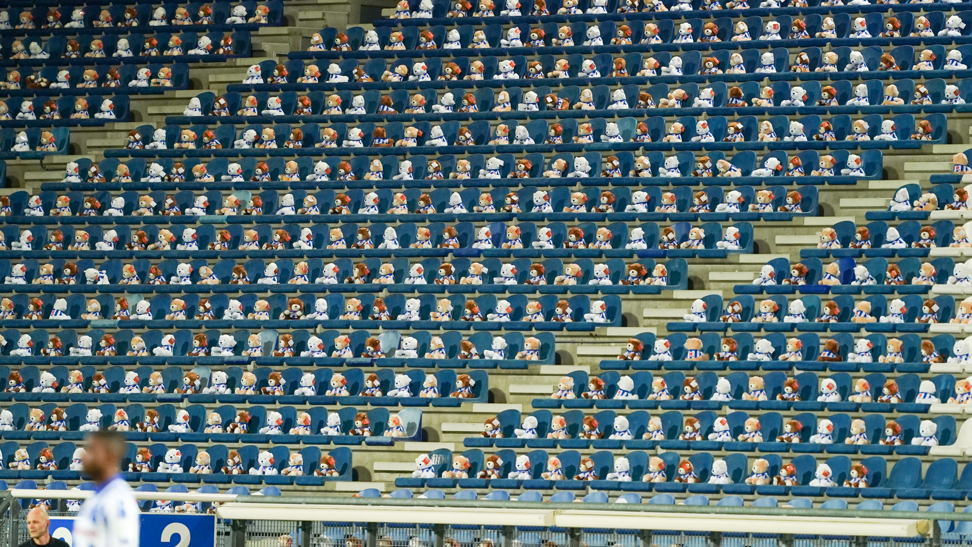 Yn 2020 sieten 15.000 bearkes op de tribunen: dy aksje gie de wrâld oer en helle mear as 300.000 euro op foar KiKa