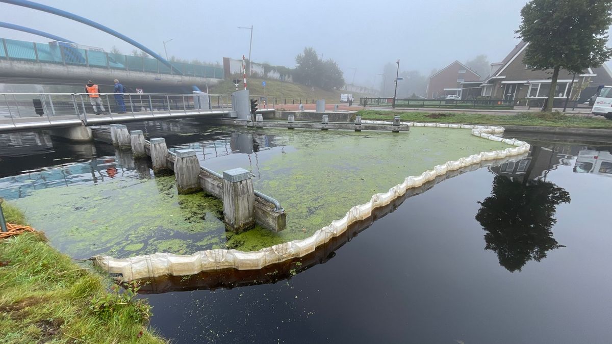 Rondvaartboot Assen stuit op brug in onderhoud: 'Dit is bizar!'