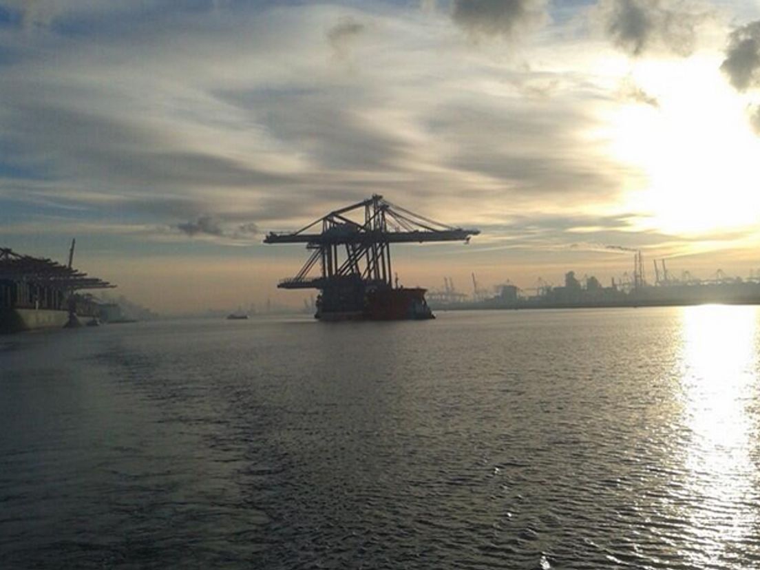 Containerkranen (Twitter - Havenmeester R'dam)