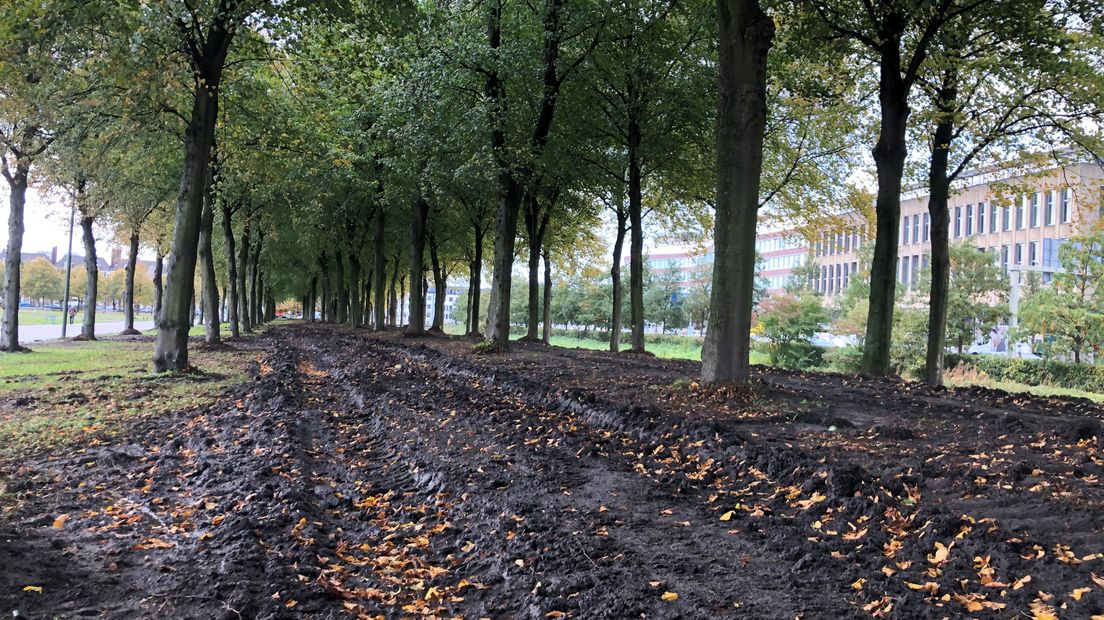 Een Malieveld vol tractorsporen.