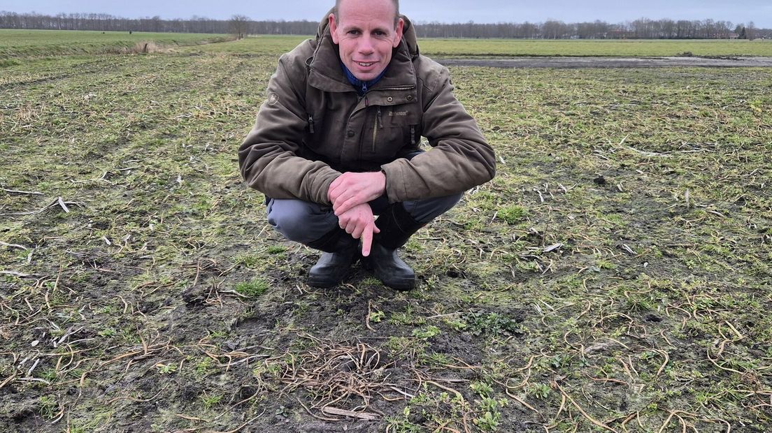Jeroen Hofstee by it earste aai yn Weststellingwerf