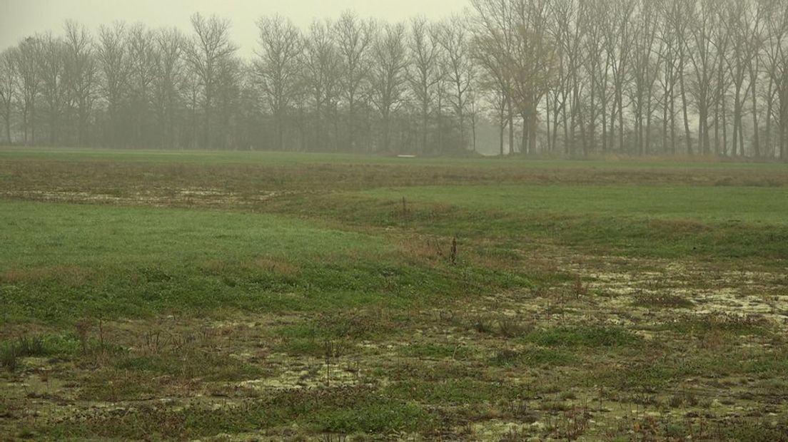 In dit voormalige weiland wordt nu water opgevangen