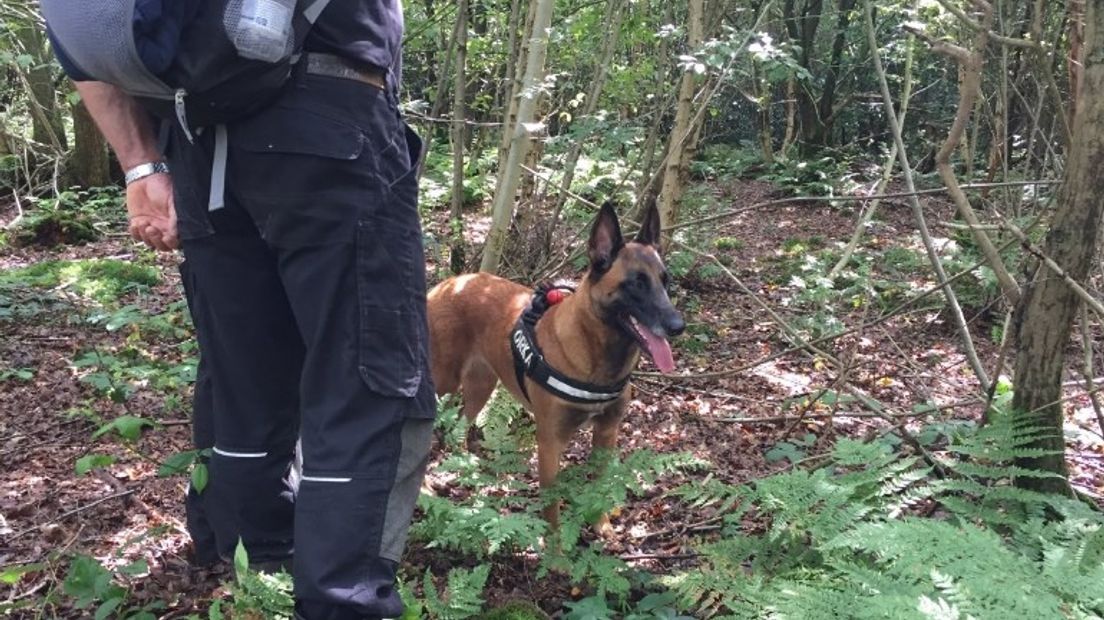 Een team van Dutch Rescue Dogs zoekt naar de vermiste Nederlandse jongen in Italië (Rechten: archief RTV Oost/Chantal Everaardt)