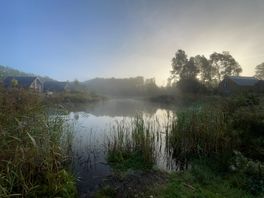 In Beeld: een mistige ochtend in Drenthe