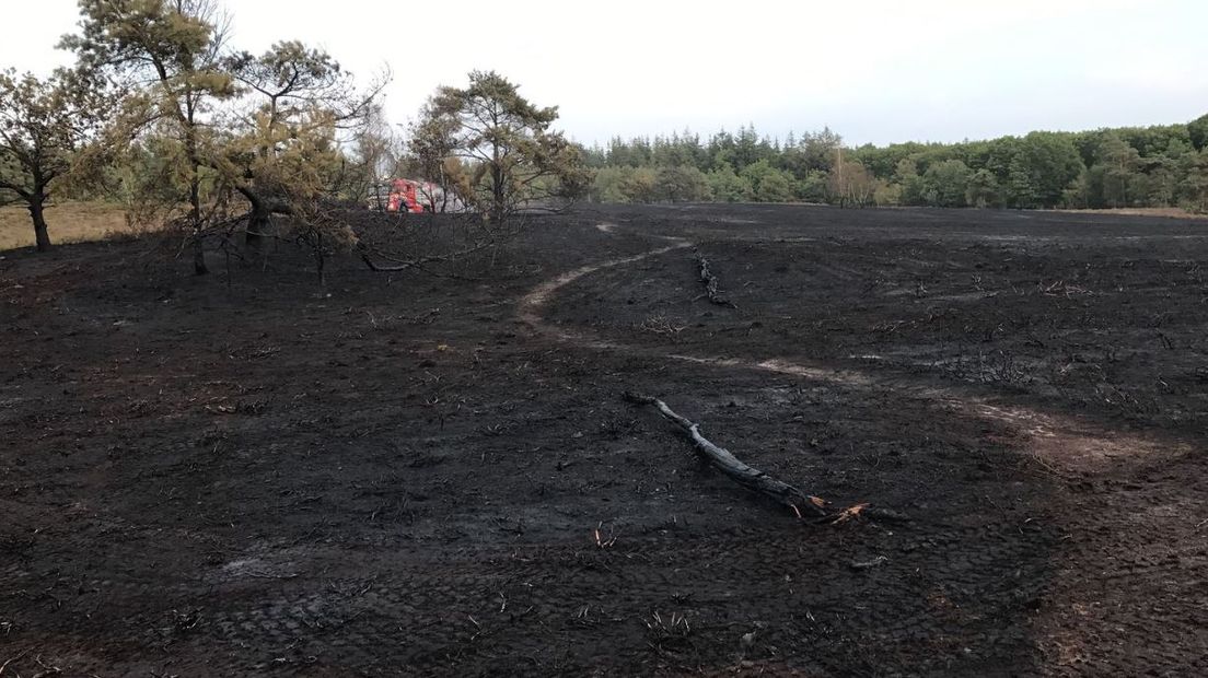 Bij de Hooiweg in Elspeet heeft vrijdag een flinke heidebrand gewoed. Een stuk van zo'n 150 bij 100 meter is verloren gegaan, meldt de veiligheidsregio. De brandweer kon voorkomen dat het vuur oversloeg naar het naaldbos.