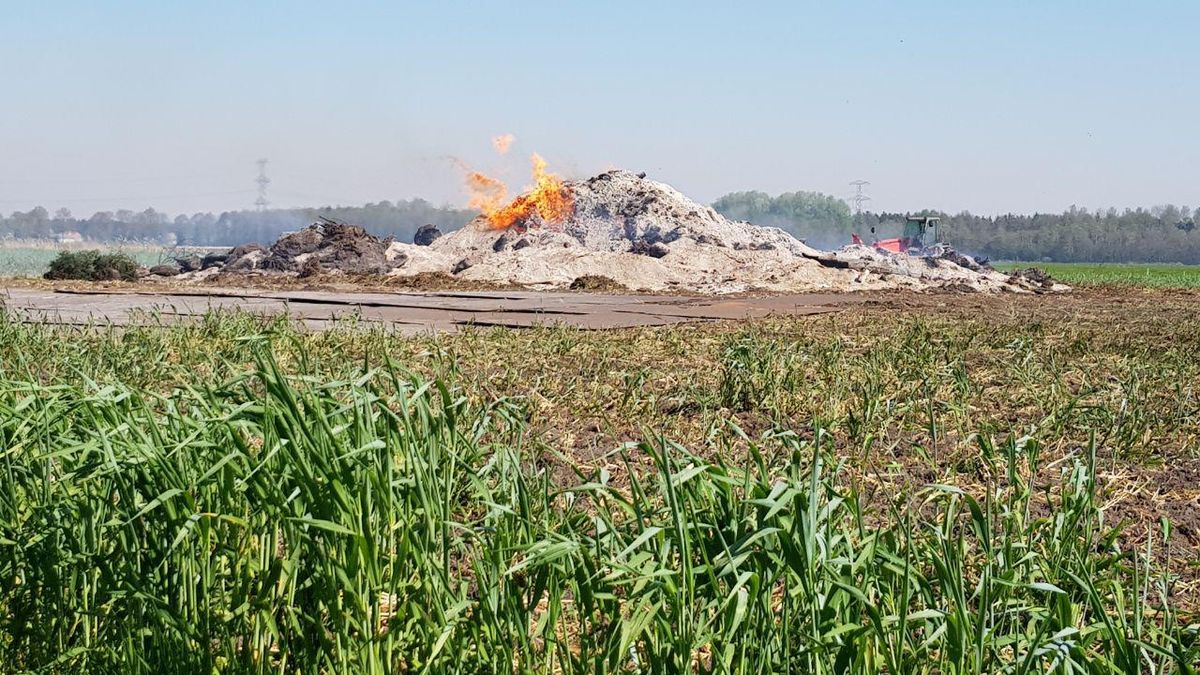 Paasbult in Drijber brandt af