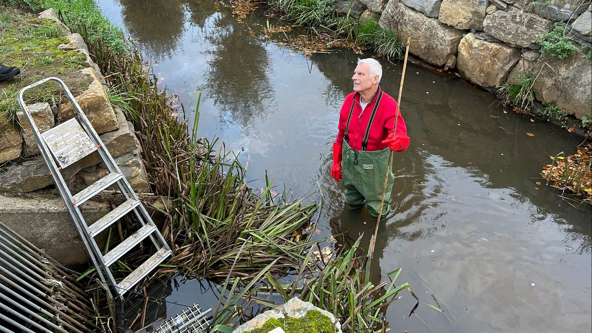 Overstort zorgt voor slechte waterkwaliteit, maar we zijn er nog niet vanaf: 'Gaan doel niet halen'