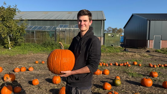 Pompoenen waar zelfs een baby in past: Eli’s hobby is flink uit de hand gelopen Home