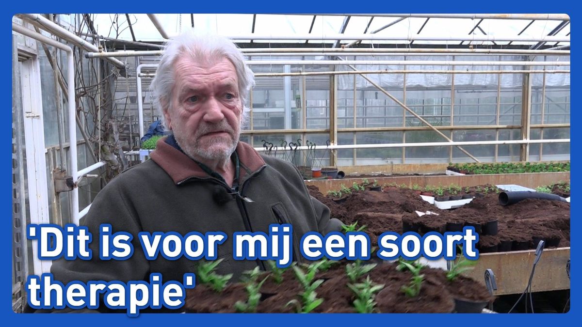 Muzikant Alex Vissering helpt mee in de kas