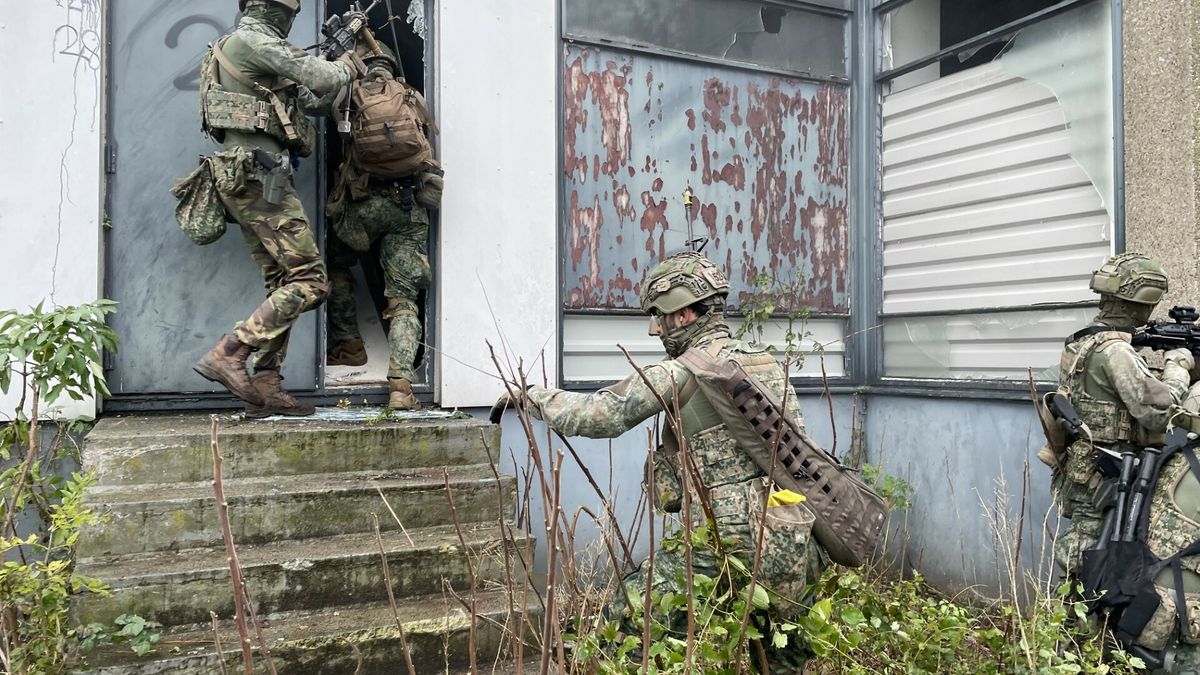 Soldaten oefenen in de Koedijkslanden Meppel: 'Moet zo realistisch mogelijk zijn'