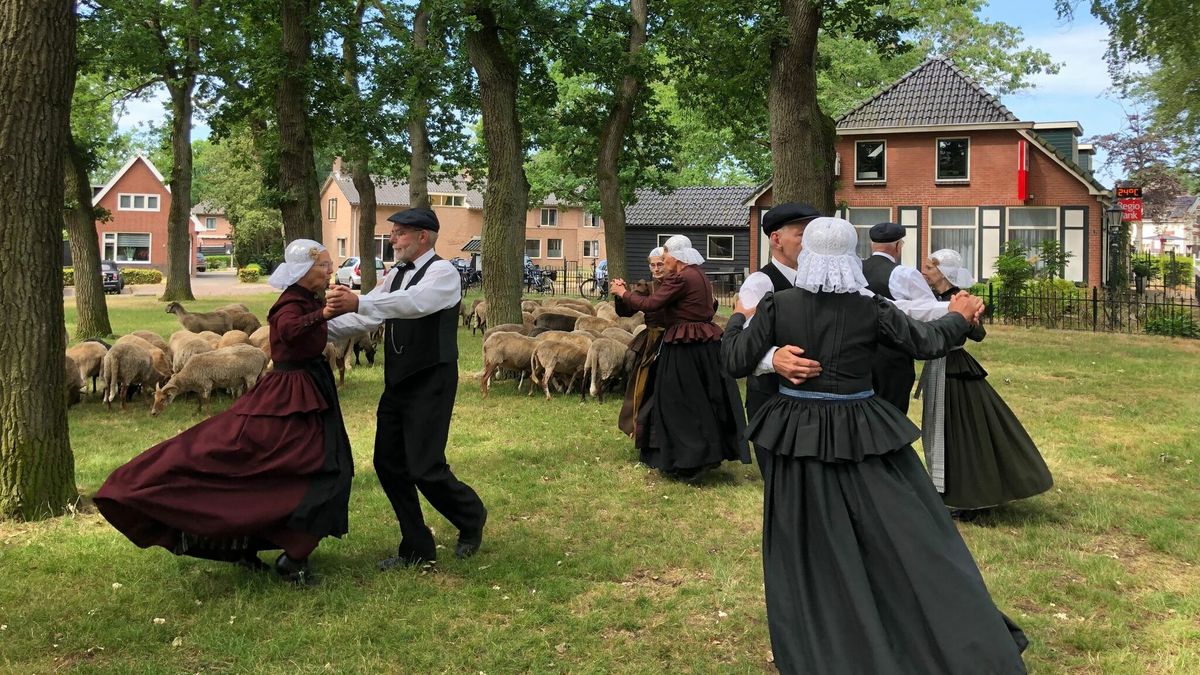 Wat is er dit weekend te doen in Drenthe?