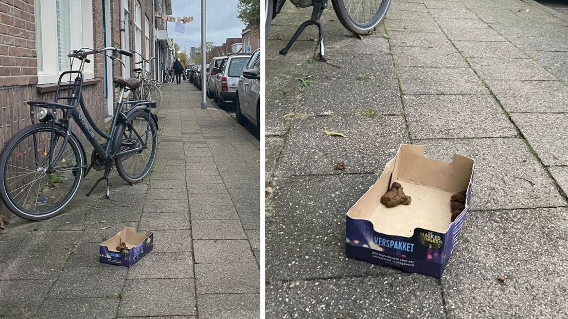 Bewoners Leliestraat zijn het zat om elke dag drollen te moeten opruimen