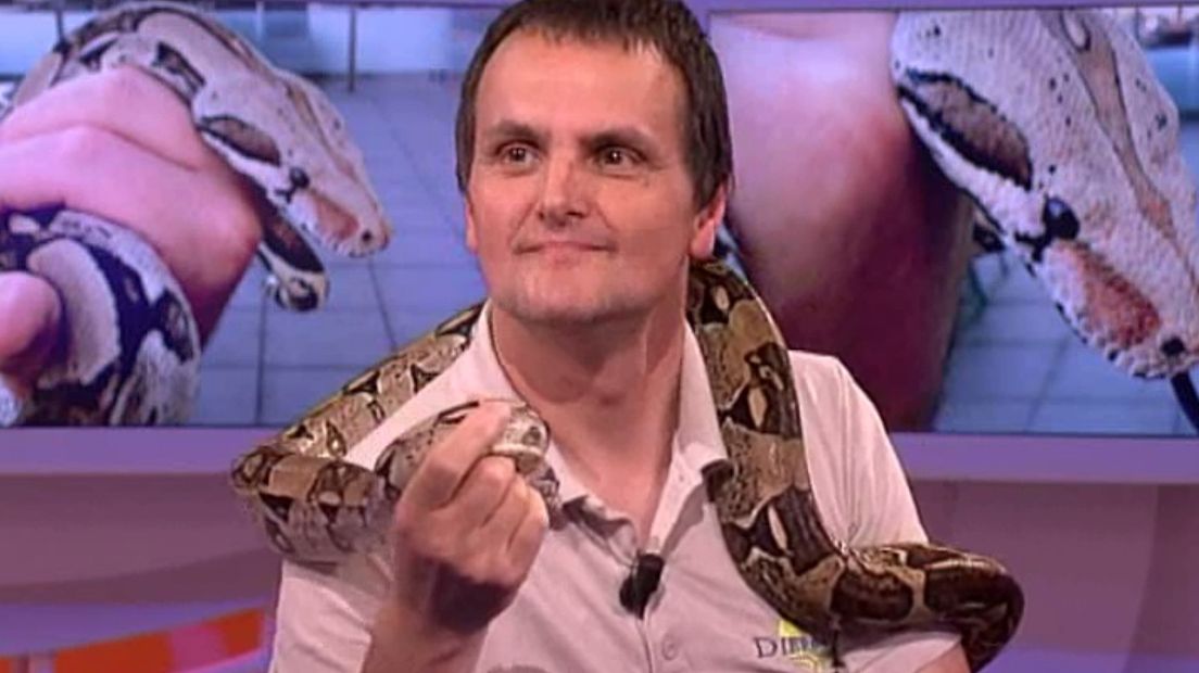 Ton van der Made van DoeZoo met een boa in de studio van TV Noord