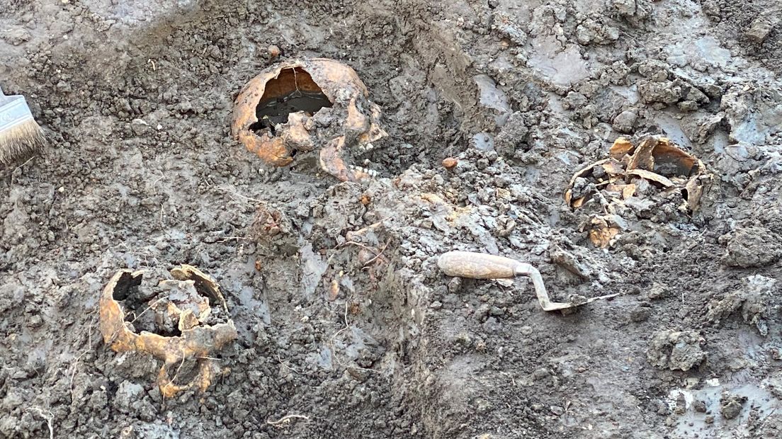 Bij de opgravingen werden schedels aangetroffen.