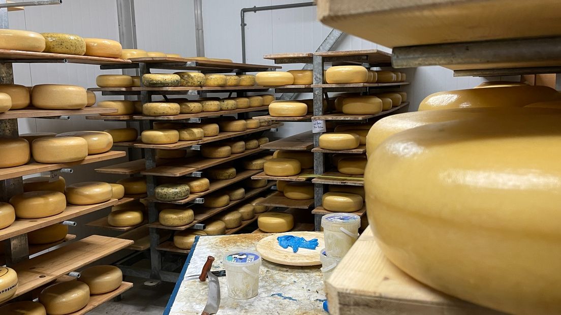 Een deel van de melk wordt op het eigen bedrijf verwerkt tot zuivel, zoals kaas