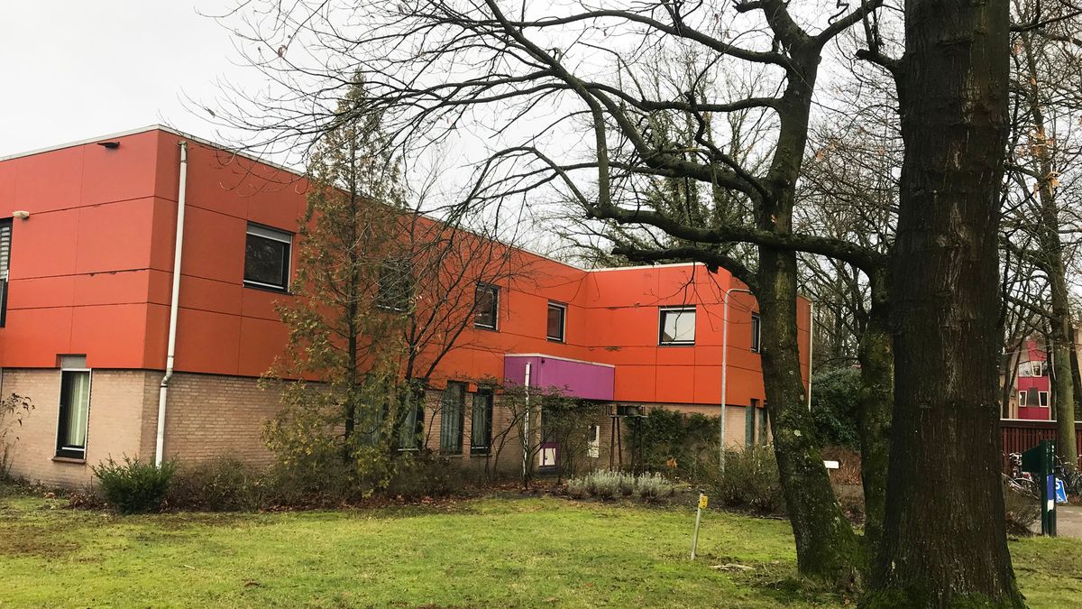 Verdachte dodelijk steekincident Den Dolder zat in Fivoor-kliniek