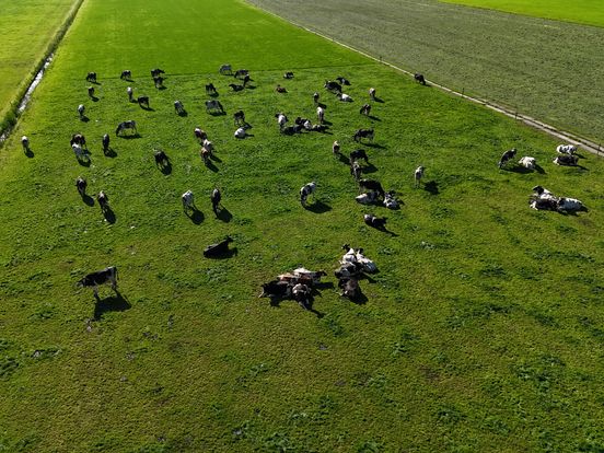 Boerenbelangenclubs komen met alternatief stikstofvoorstel