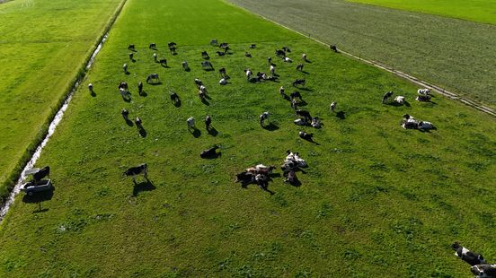 Boerenbelangenclubs komen met alternatief stikstofvoorstel