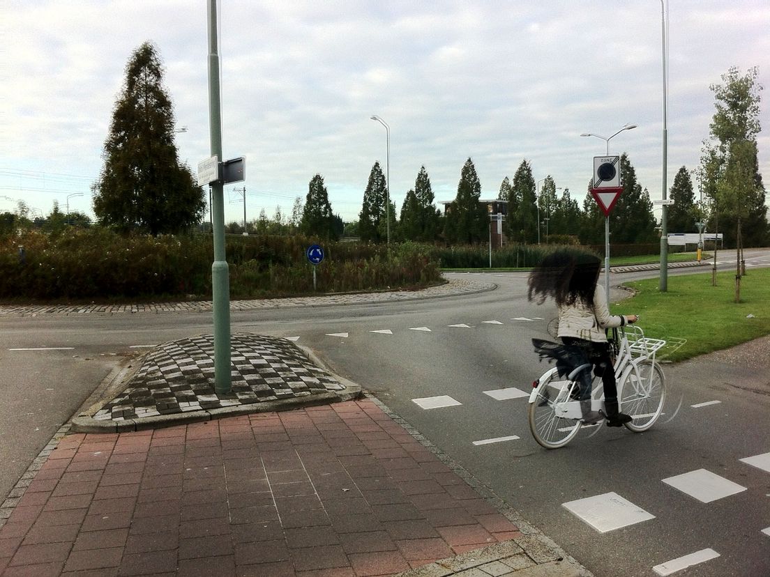 Rotonde Groene Zoom Dordrecht Stadspolders