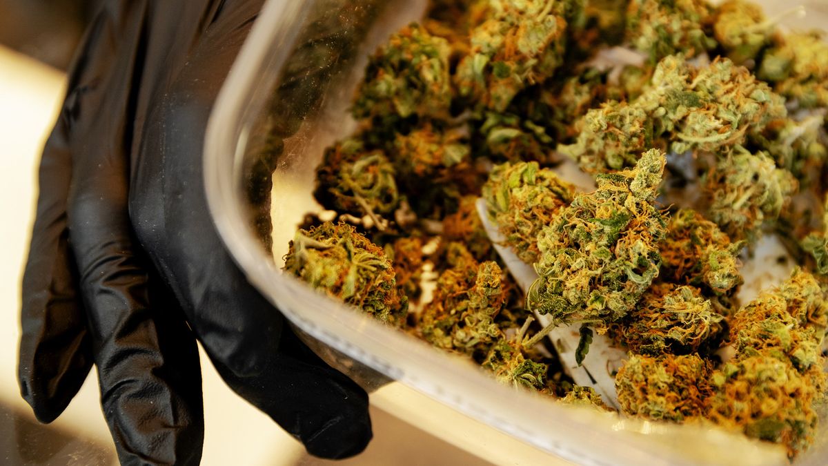 Coffeeshop heeft maling aan regels en moet voorlopig dicht