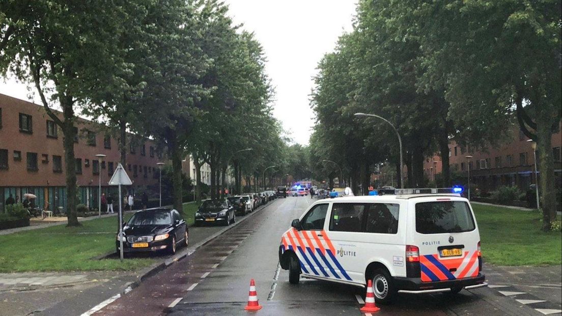 Boom valt op fietsster in Zwolle, slachtoffer overleden