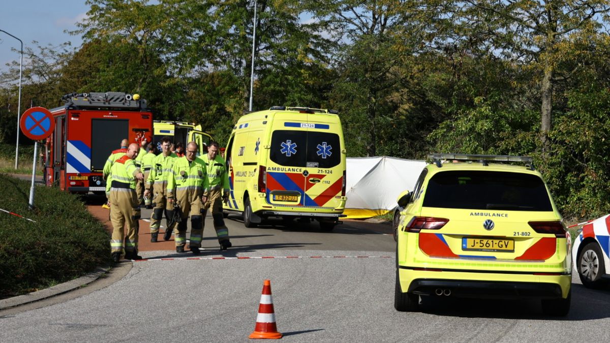 Botsing tegen boom: 17-jarige motorrijder overleden