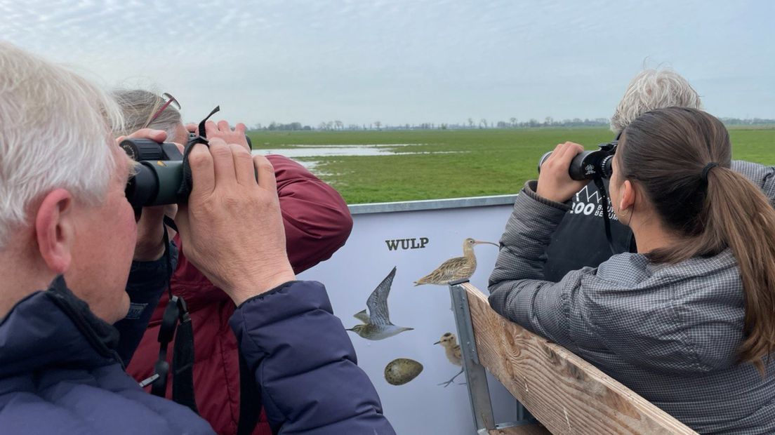 Vrijwilligs bekijken de omgeving vanuit de Weidevogel Express