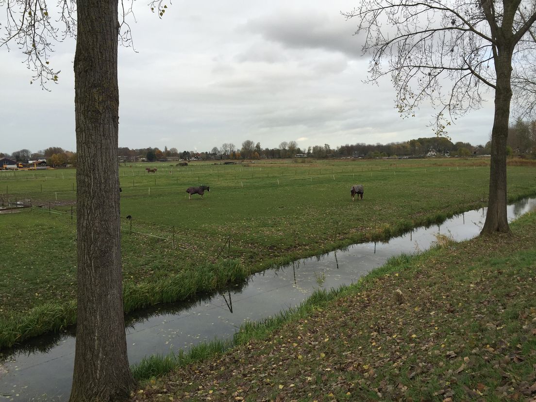 Zuidpolder