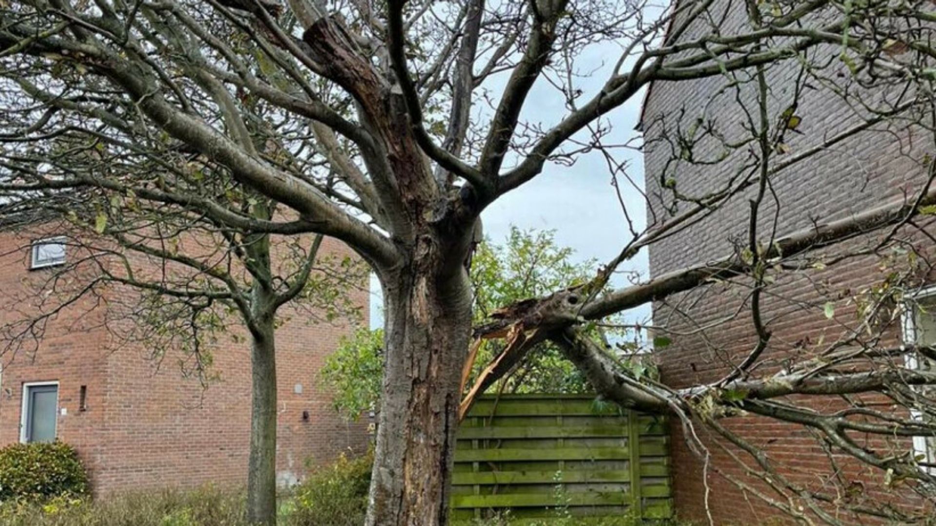 LEES TERUG: Zo Raasde Storm Ciarán Over Zeeland - Omroep Zeeland