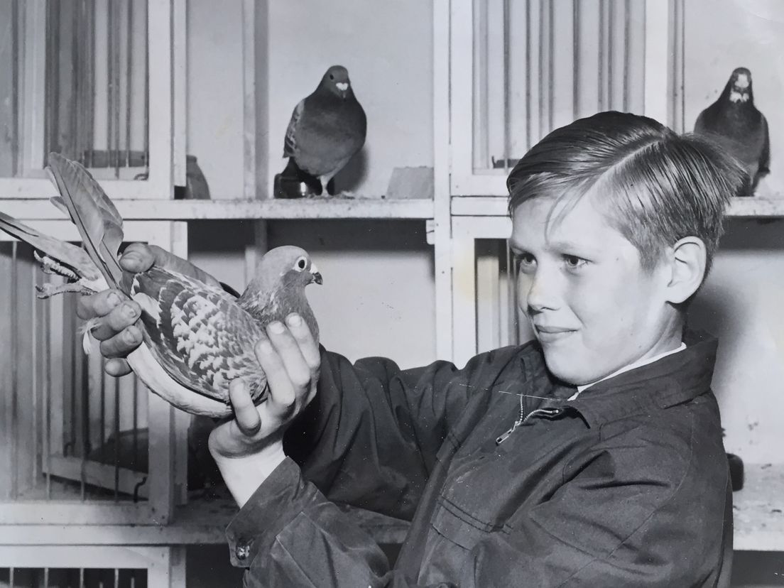 Hans Hollander, als 12-jarige met de postduiven