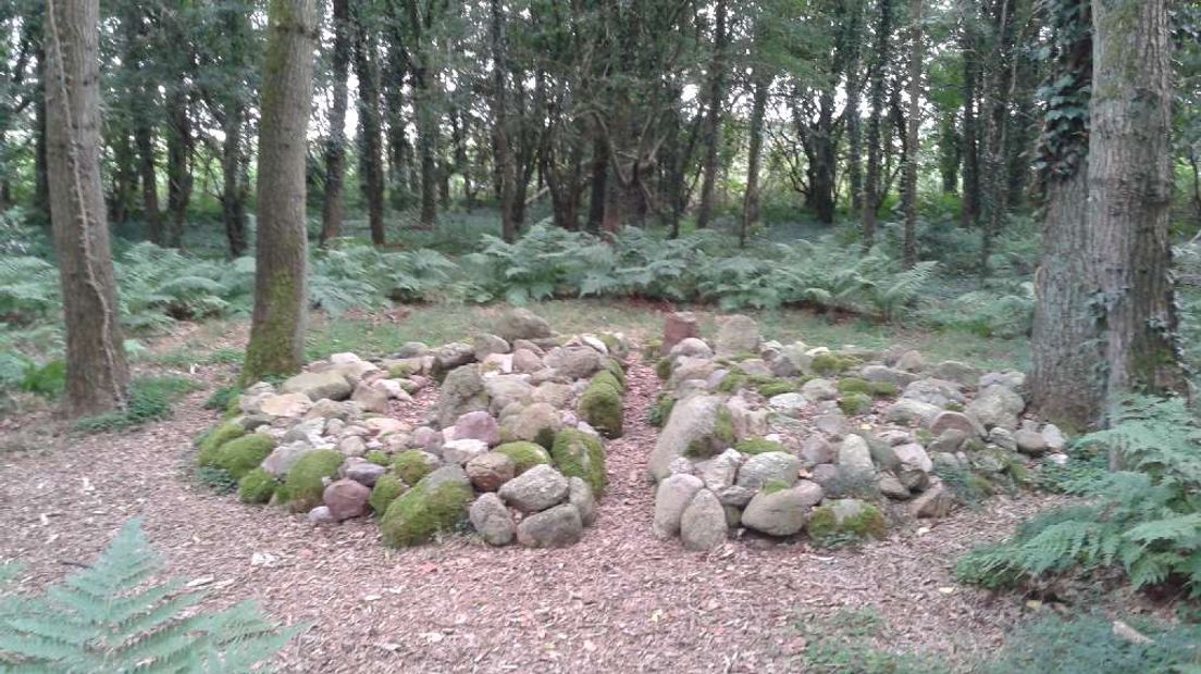 In het bos bij Vries duiken mysterieuze vormen op (Rechten: hetmysterievanvries.nl)