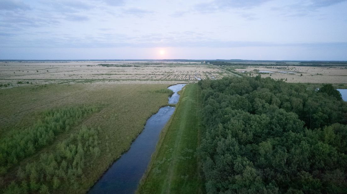 Fochteloërveen