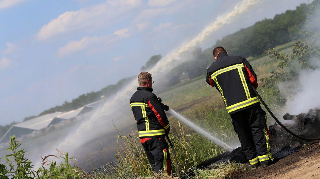 Natuurbrand bij Nieuweroord (Rechten: Persbureau Meter)