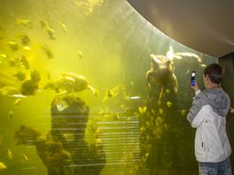 'Al het moois van de wereld kwam samen in het Noorder Dierenpark'