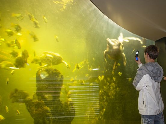 'Al het moois van de wereld kwam samen in het Noorder Dierenpark'