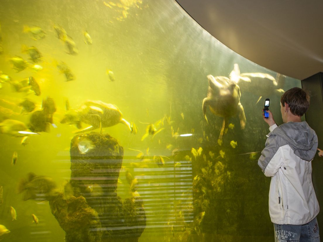 'Al het moois van de wereld kwam samen in het Noorder Dierenpark'