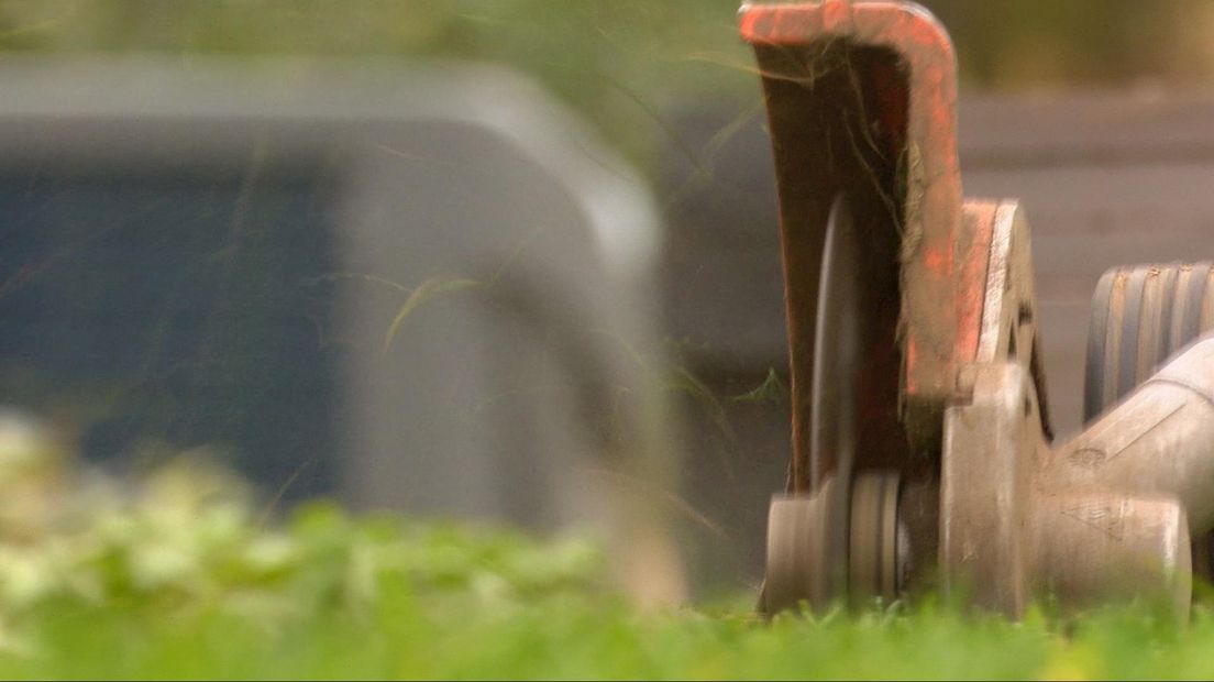 Verveeld? Ga in de tuin aan de slag