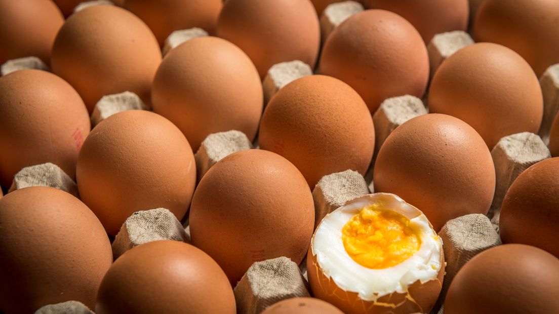 De eieren van zeker 25 Gelderse bedrijven staan op de lijst van NVWA omdat ze besmet zijn met fipronil. Bij de eieren van 24 bedrijven wordt geadviseerd ze niet door kinderen te laten eten, de eieren van één bedrijf vormen een gevaar voor de volksgezondheid.