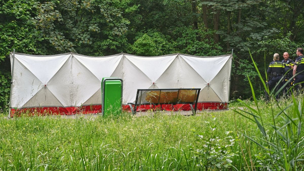 Overleden persoon Nieuwegein was slachtoffer van noodlottig ongeluk