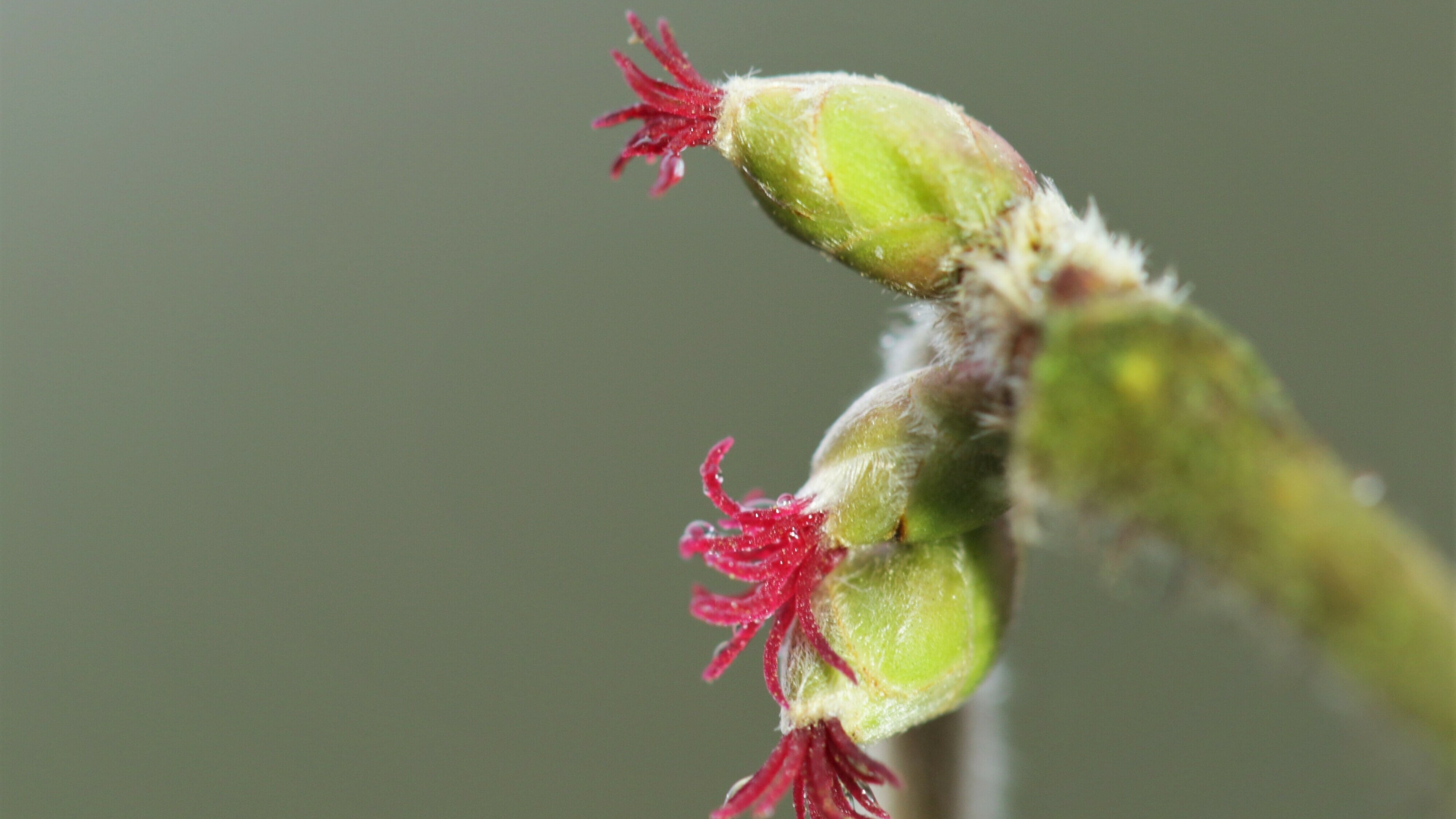 Wat is er dit weekend te doen in Drenthe?