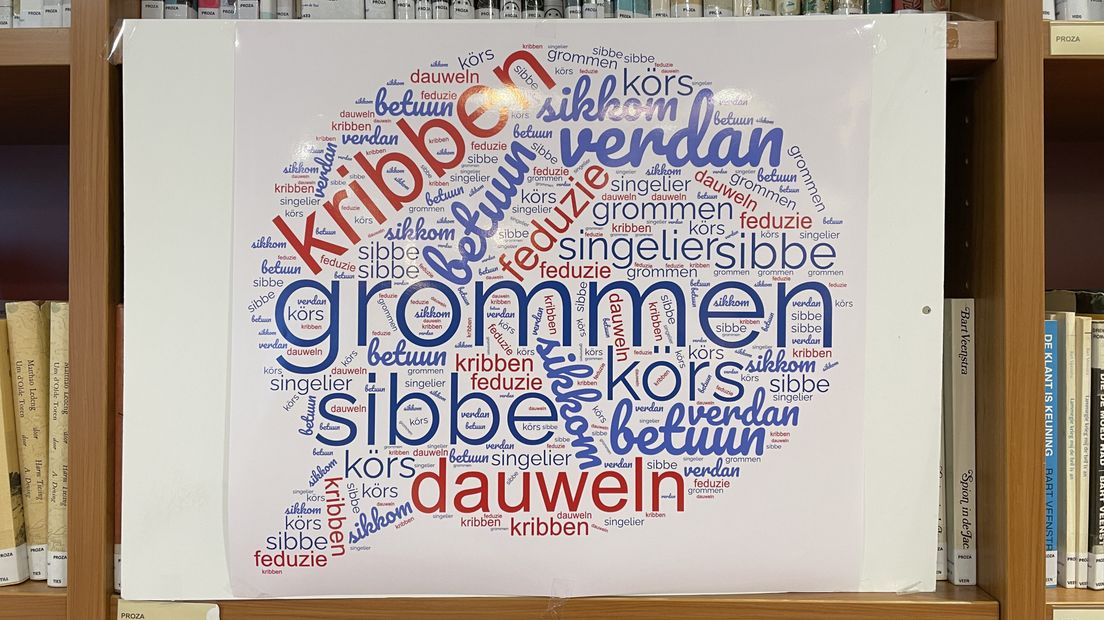 Waar komen deze Drentse woorden vandaan?