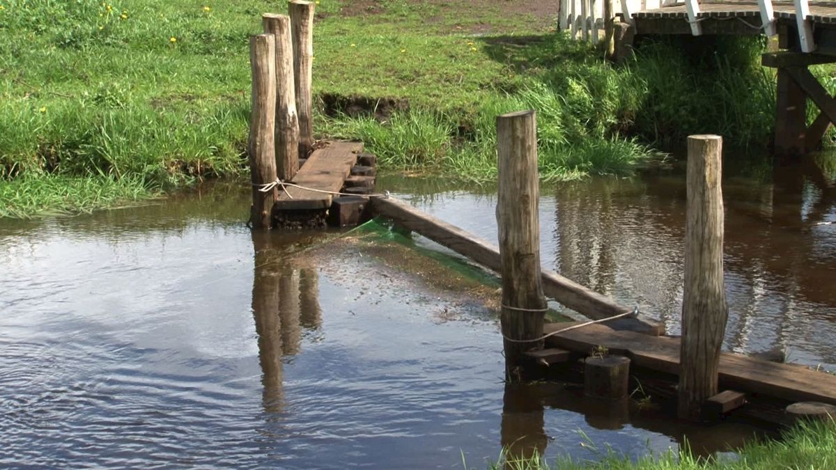Aalstal in IJhorst in gebruik genomen, fuik hangt af en toe in Reest