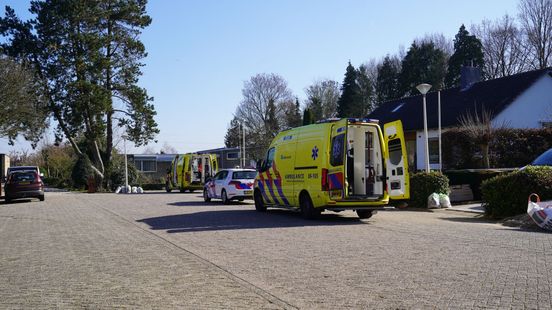 Man ernstig gewond na val uit boom