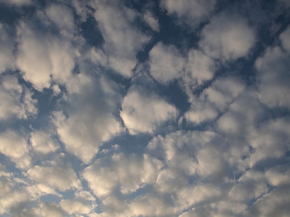 Stratocumulus