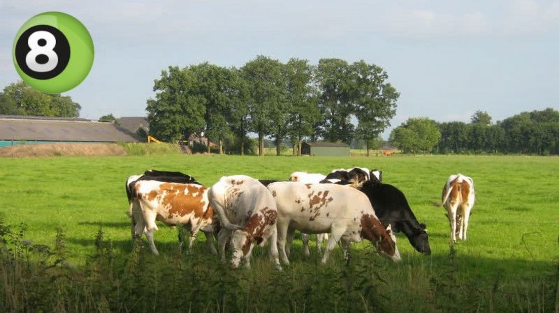 P10 zoekt met Henk Aalderink-prijs het gezicht van 'hot' platteland